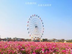 -金卉庄园