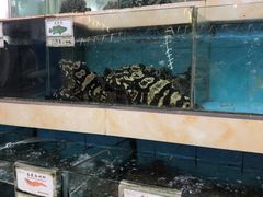 水产区-秋姐美食店(旅游大道店)