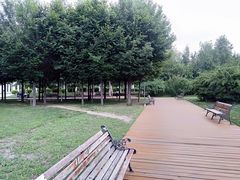 -长春公园(普阳街道)