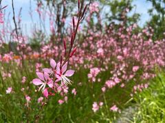 -上海滨江森林公园