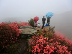 -木兰云雾山