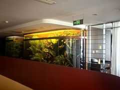 -鱼翅楼·津派砂锅鱼翅(水上公园店)
