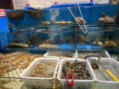 -潮庭·大连海鲜·炭火烧烤·扇贝王(大连店)