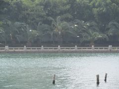 景点-白鹭洲公园