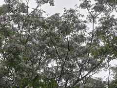 -宜兴龙背山森林公园