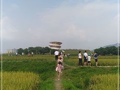 -光明小镇欢乐田园