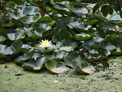 -长白岛森林公园