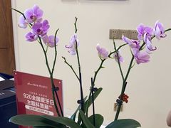 -优诺口腔·VIP尊享中心(爱建机构)