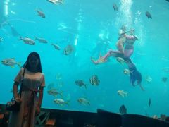 -瑞德姆美人鱼海底演艺主题餐厅(亚龙湾店)