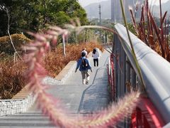 -白石龙音乐公园