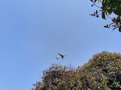 -长沙黄花国际机场-T1航站楼