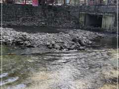 -养马峡