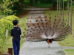 -森波拉奇妙世界