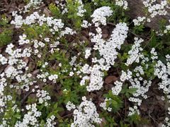 -河海大学(常州校区)