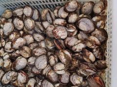 -富临港·蒸汽海鲜·手抓海鲜·炒菜(栈桥店)