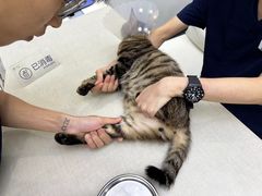 -拜鲁耶动物诊疗中心·宠家动物医院