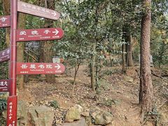 -岳麓山风景名胜区