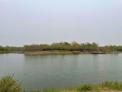 -东郊湿地公园