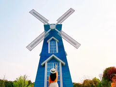 -铁山坪森林公园