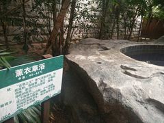 -龙达温泉生态城
