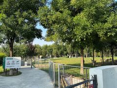 -爪吧宠物乐园 (温榆河示范区店)