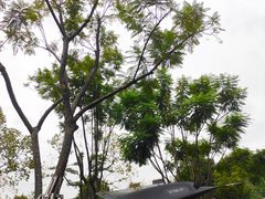 -成飞公园
