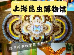 -上海昆虫博物馆