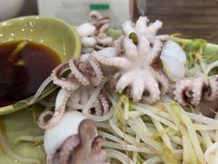 介辣八爪鱼-贞姨美食·老字号海鲜大排档