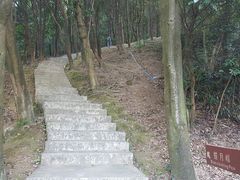 -广州市帽峰山景区
