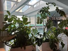 -TRACTION 运动中心(金融街店)