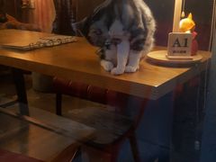 大堂-咖法森林·咖啡  酒吧(天河店)