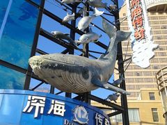 -大连圣亚海洋世界