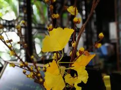 -苏州文旅平江花间堂·探花府酒店