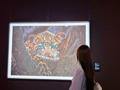 -罗红摄影艺术馆