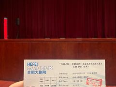 -合肥大剧院