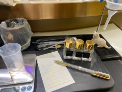 -香遇沙龙香水·调香·团建