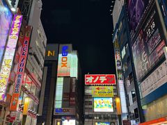 -秋叶原电器街