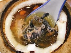 -達揚原味燉品(文明路店)