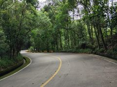 -大屏嶂森林公园
