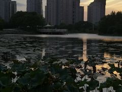 -新江湾城公园