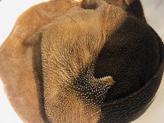 -锅说大脸毛肚重庆老火锅(佐阾店)