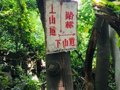 -黄葛古道