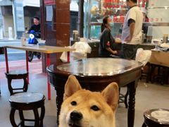 -森成美食店(海珠店)
