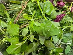 野菜-黔府豆米火锅野菜馆(南马店)