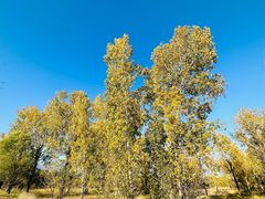 -野鸭湖国家湿地公园