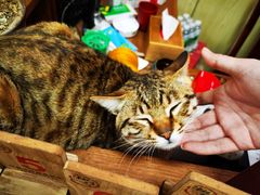 -官塘陈记鱼生·潮汕砂锅粥·牛肉火锅(潮枫路总店)