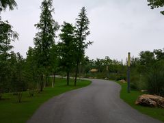 -上海长兴岛郊野公园