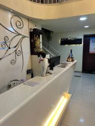 -丽时 Hair Salon