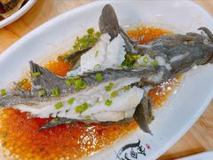 清蒸石斑鱼-金家港海鲜大排档(中山路店)
