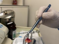 -上海市徐汇区口腔医院